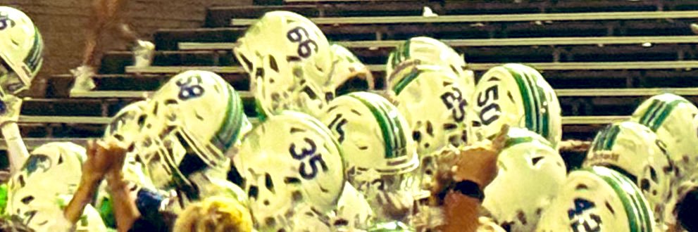 Coach Gaudenzi banner