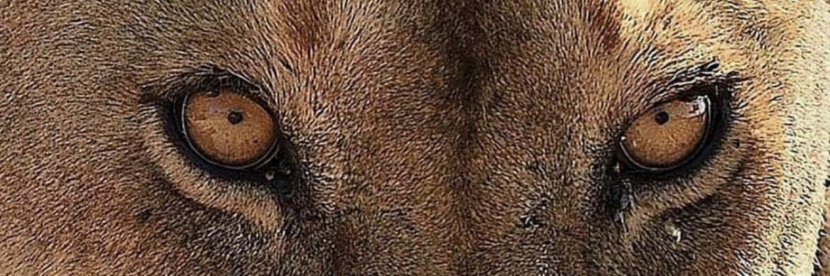 itsvely_'s profile banner image