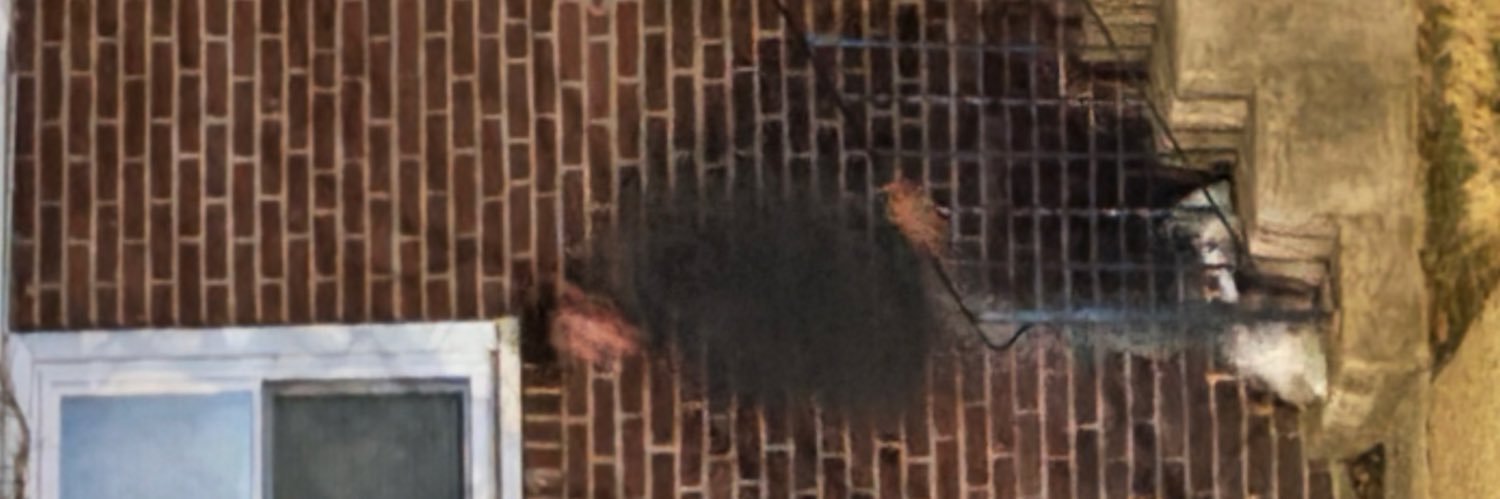 dave k banner