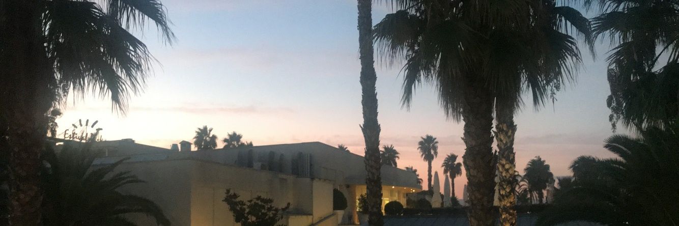 lorihayball8's profile banner image