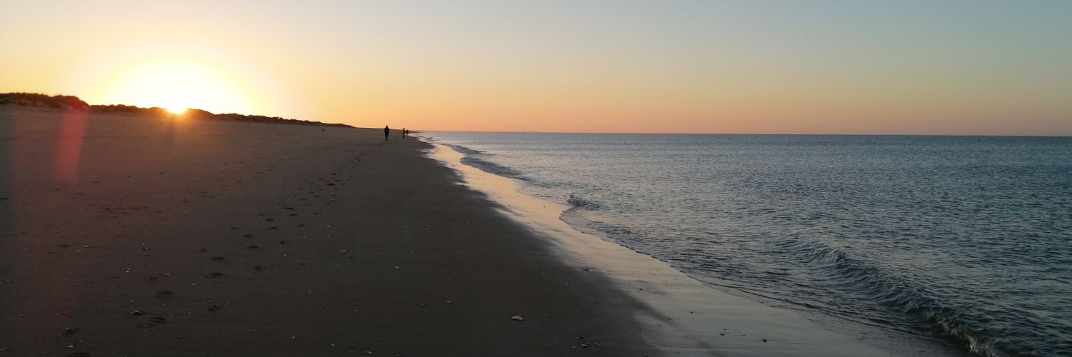 PedriNavarrete's profile banner image