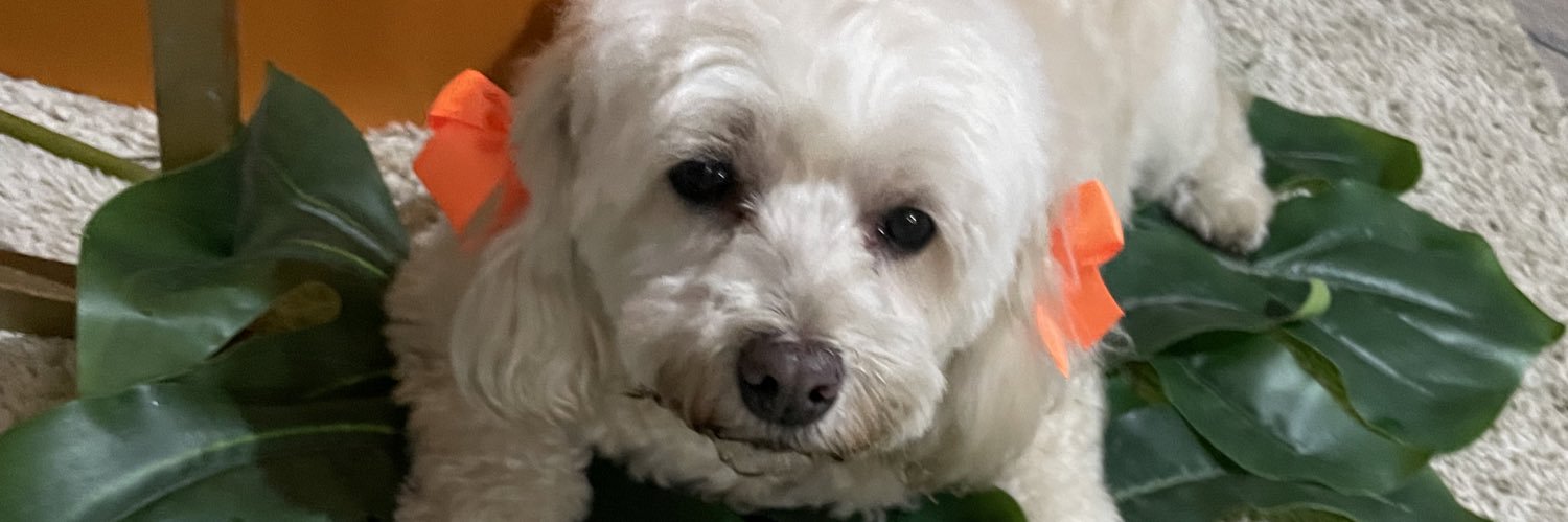delriomalu's profile banner image