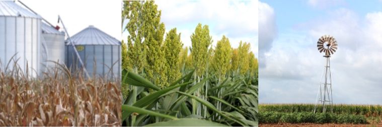 Post Oak Savannah GCD banner