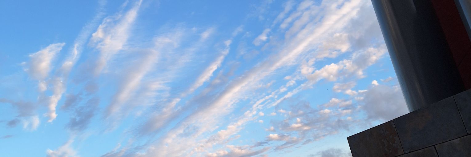Cristina banner