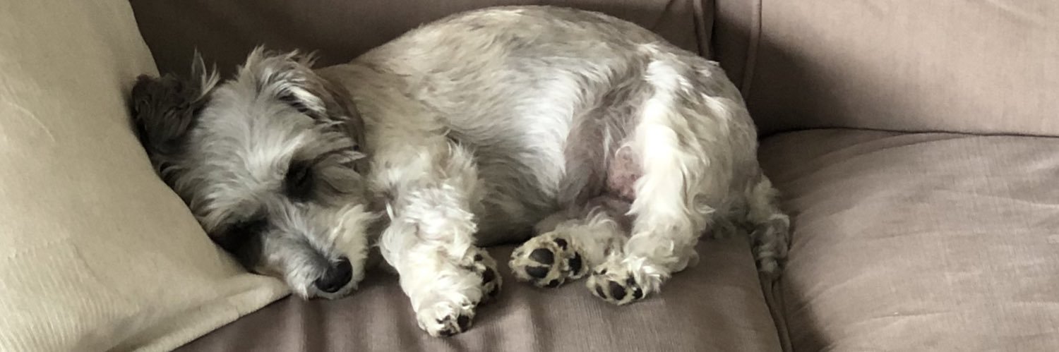 Marcus Fitzgerald banner