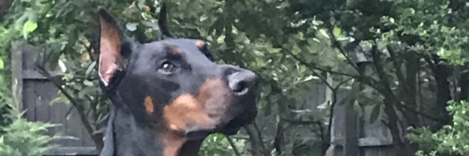 Hutch17's profile banner image