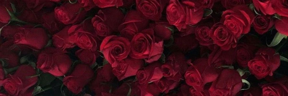 𝐕𝐈𝐒𝐇𝐀. banner