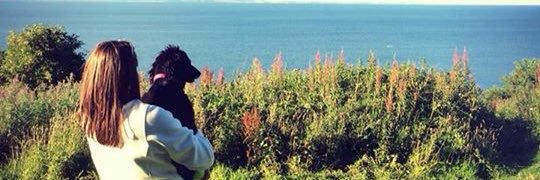 AmieMalcolm's profile banner image