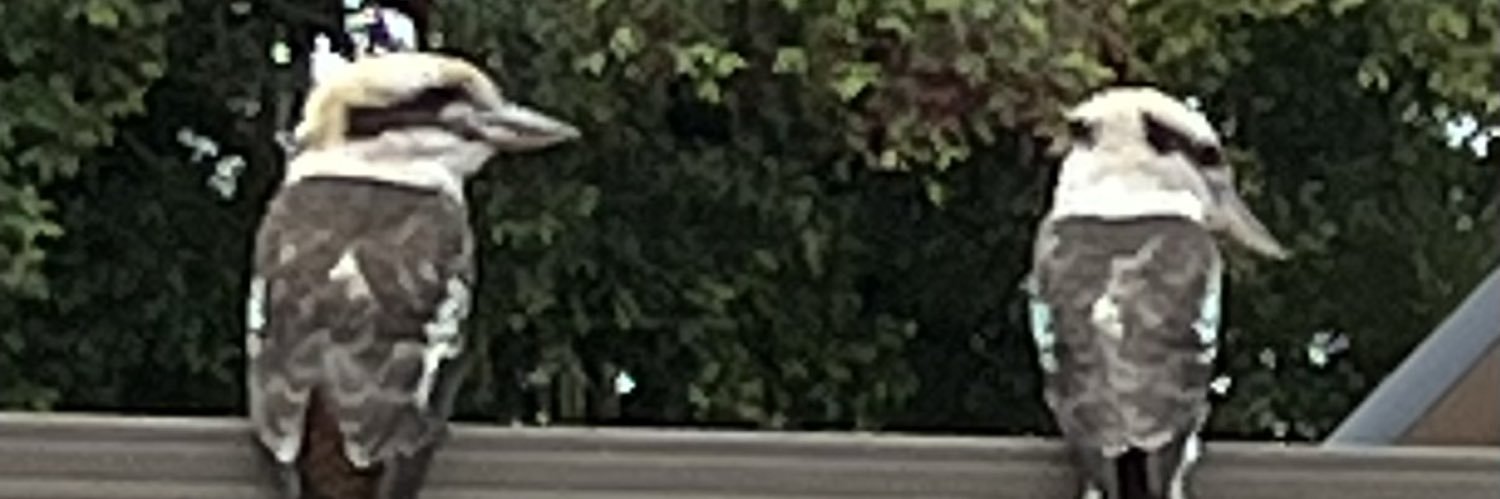 Mands banner