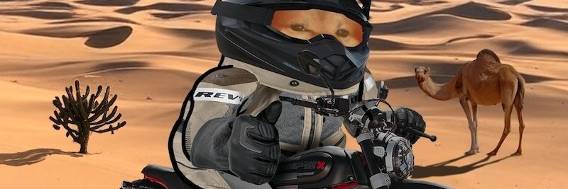 Ducati Desert Fella #NAFOfellas's banner