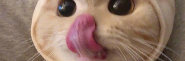 danylapuenta's profile banner image