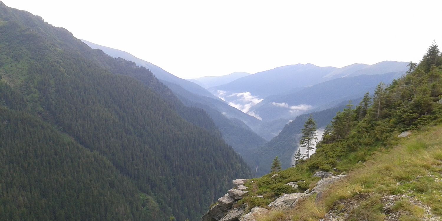 Nathan Deblim banner