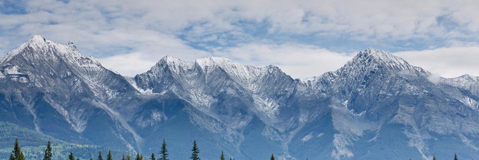 HauserCanada's profile banner image