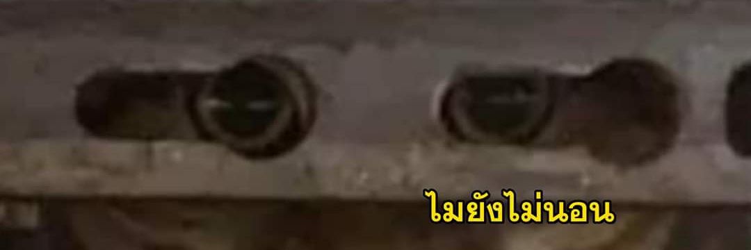 savenonduay's profile banner image