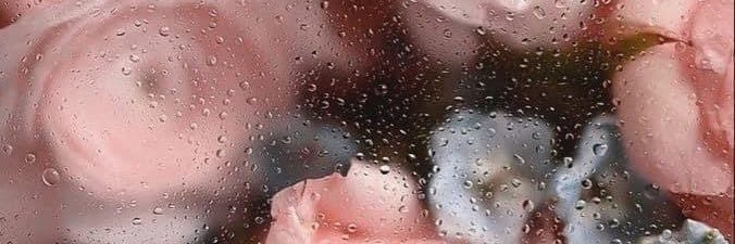 ReaganWilson16's profile banner image