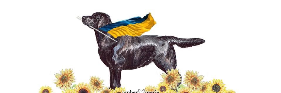 Lynne Peacock banner