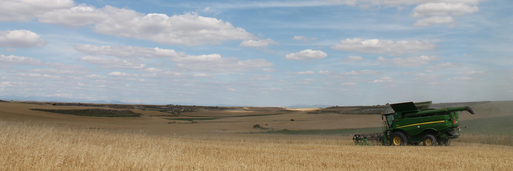 tracoten's profile banner image