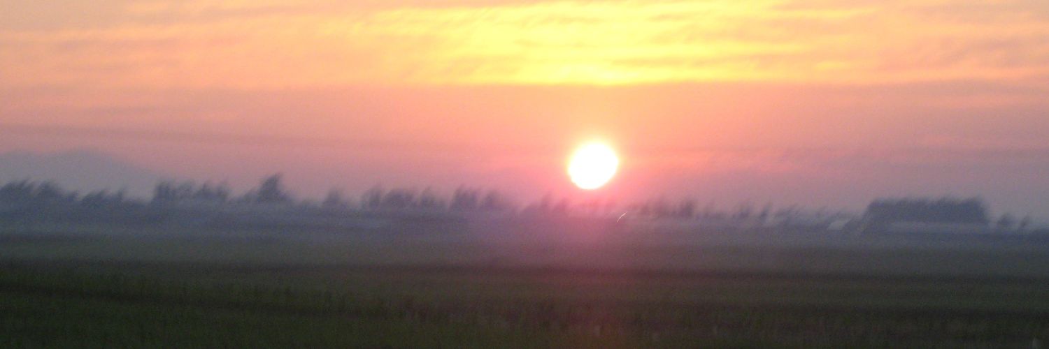 RajLohani's profile banner image