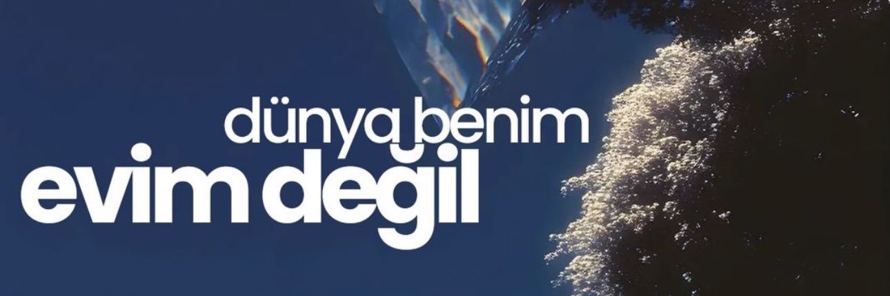 mineydii's profile banner image