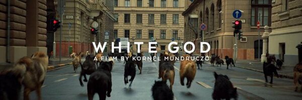 WhiteGodFilm Profile Banner
