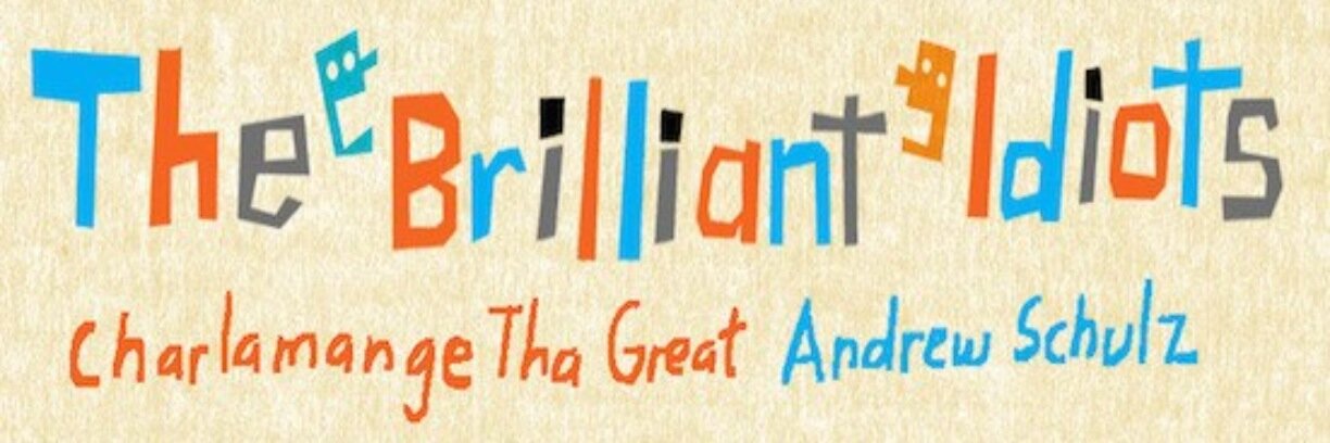 BrilliantIdiots's profile banner image