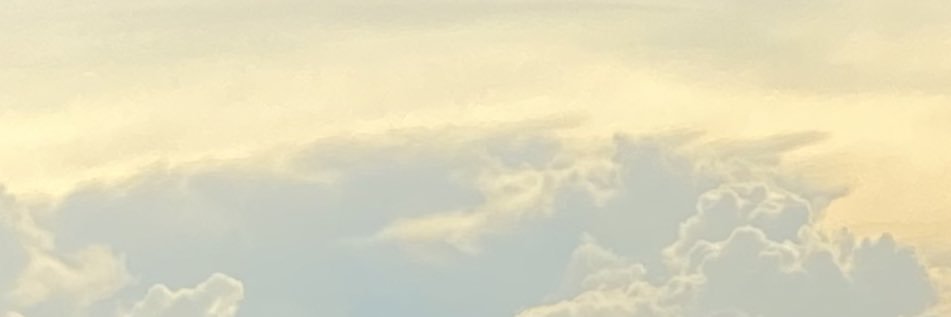 ツ banner