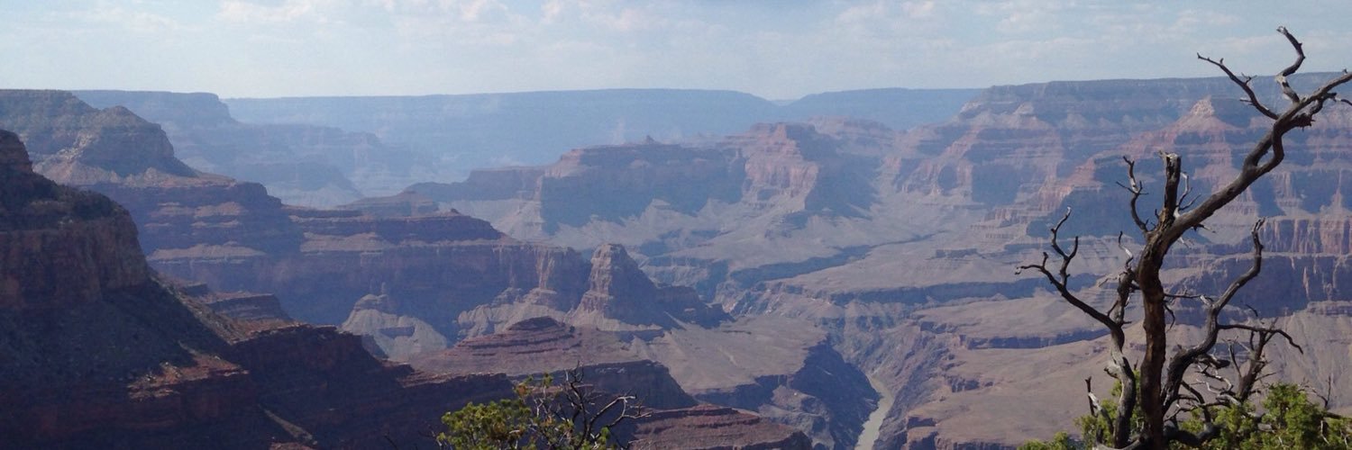 tammy_embry's profile banner image