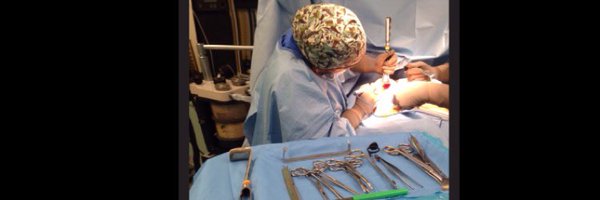 ElitePlasticSu Profile Banner