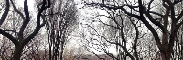 merryspaniel Profile Banner