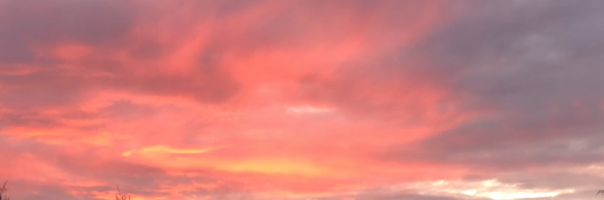 NolanLainey's profile banner image