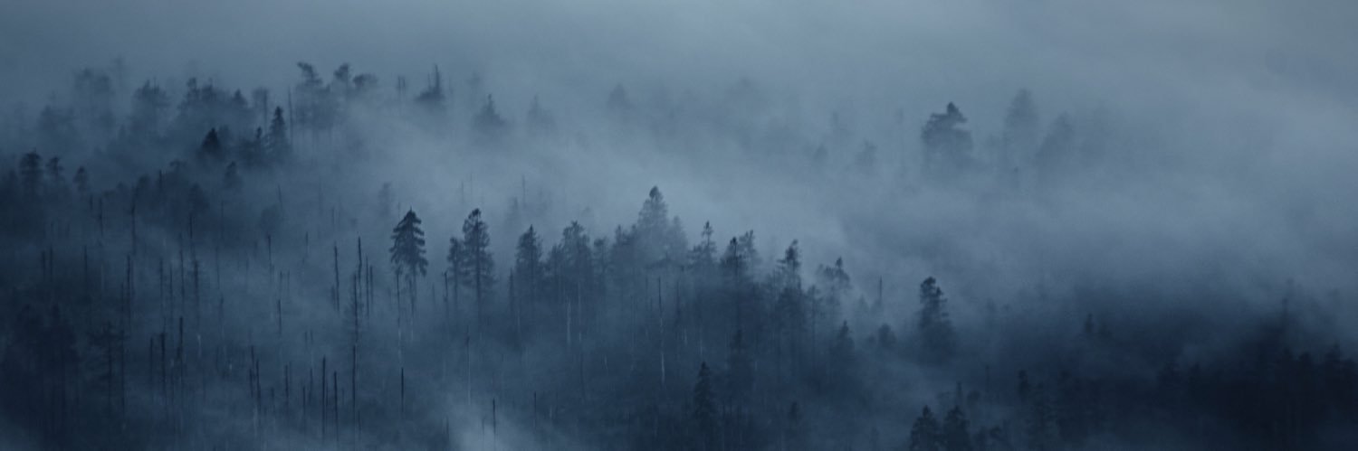 iamarux's profile banner image
