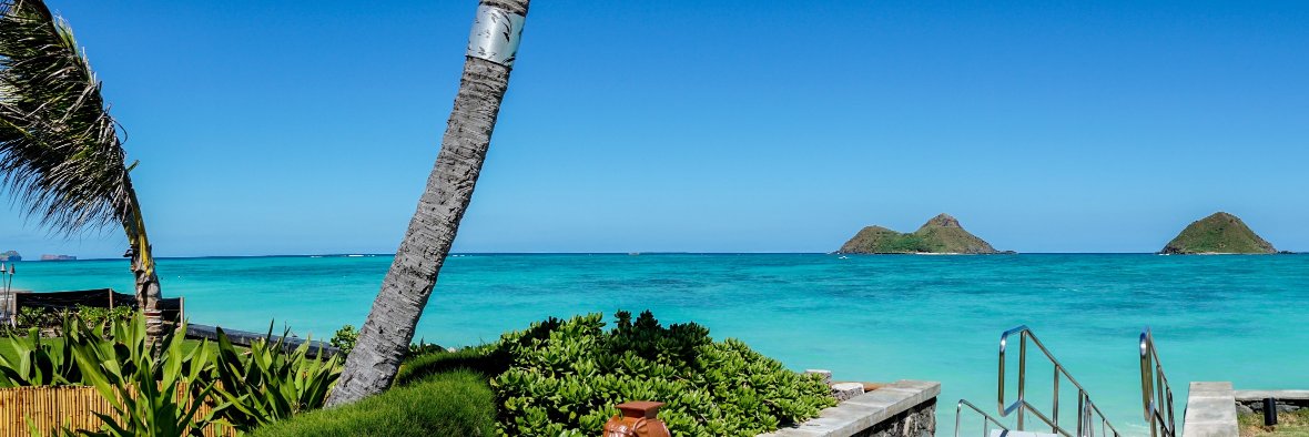 OperaMaestro's profile banner image