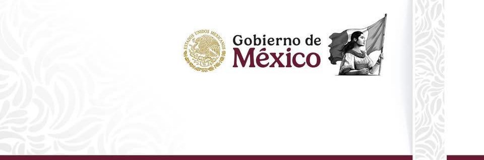 IMSS Michoacán banner