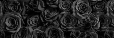 kassaires's profile banner image