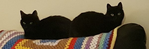 Allisonmb1 Profile Banner