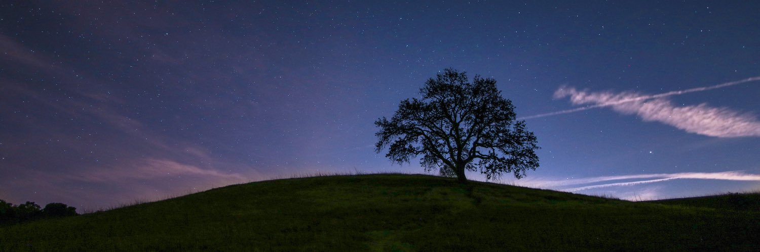 WilliamsPTRs's profile banner image