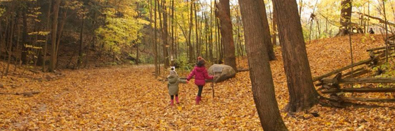 York Region Nature banner