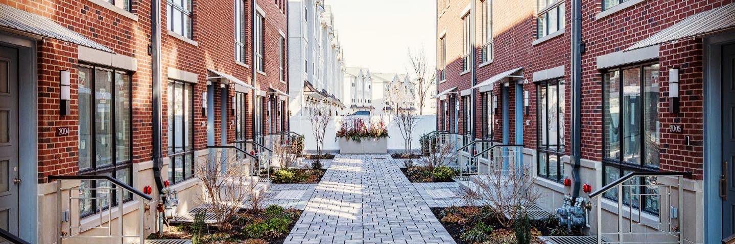 Barbara Capozzi banner