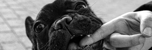 BeleeenRCCV's profile banner image