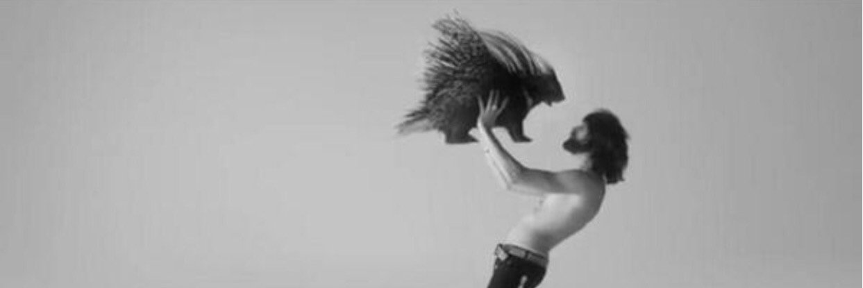 David fleming banner