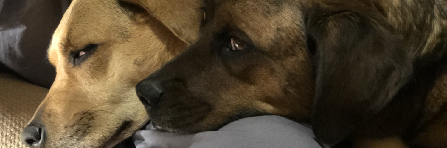 shawna49's profile banner image