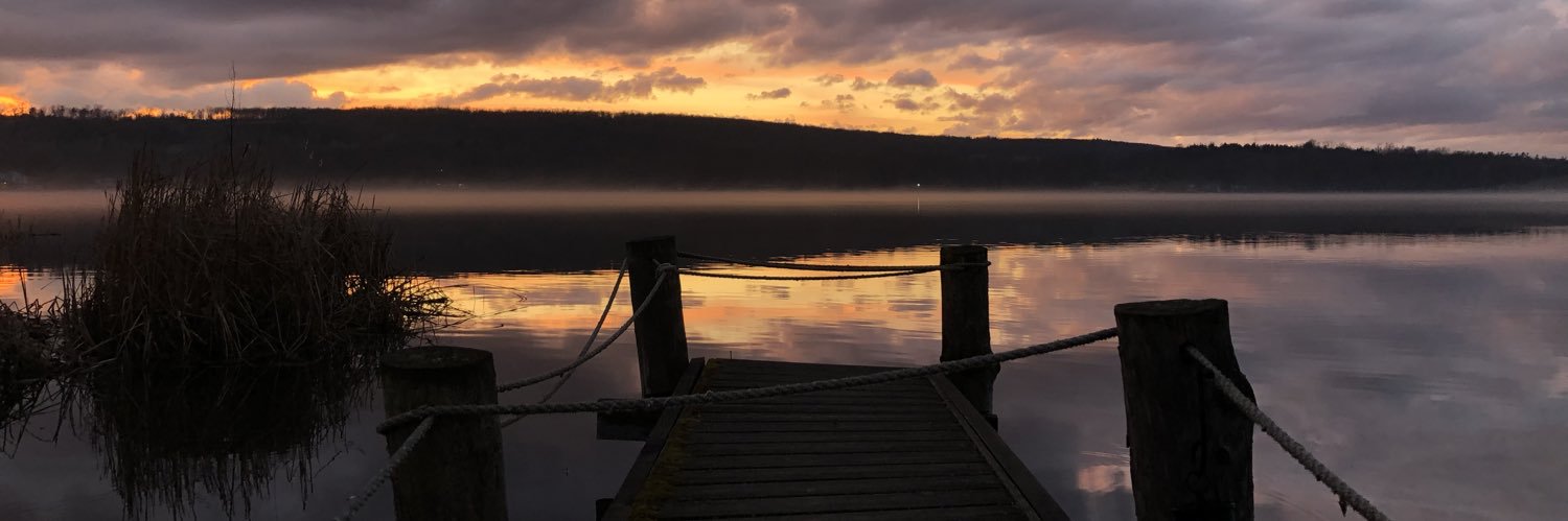 Steph Crosier banner