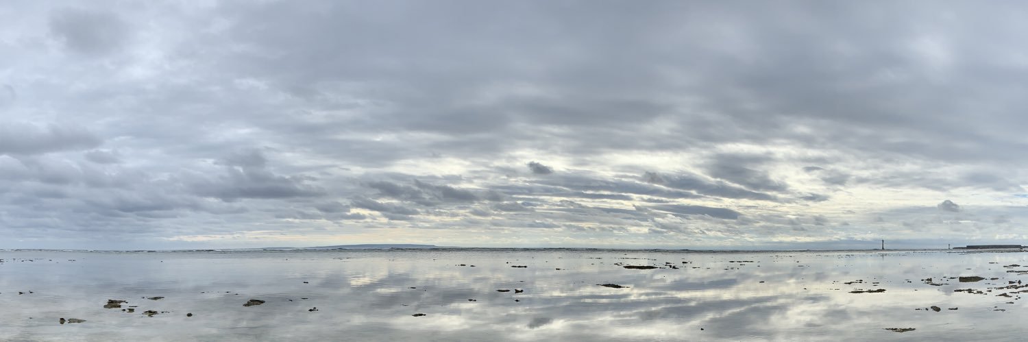望月 光 banner
