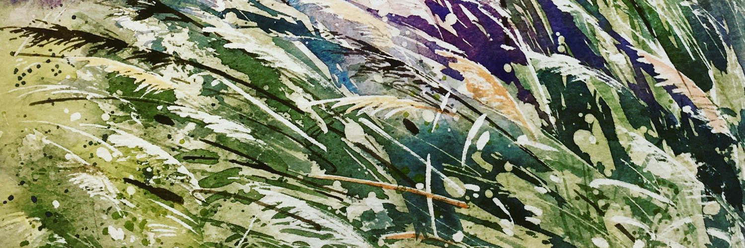 MerseaIslandBoy's profile banner image