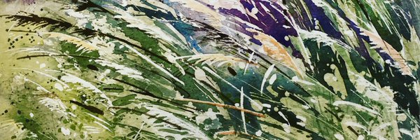 MerseaIslandBoy Profile Banner