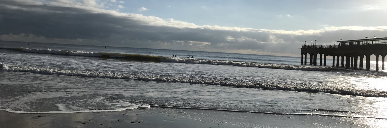 Kerri R banner