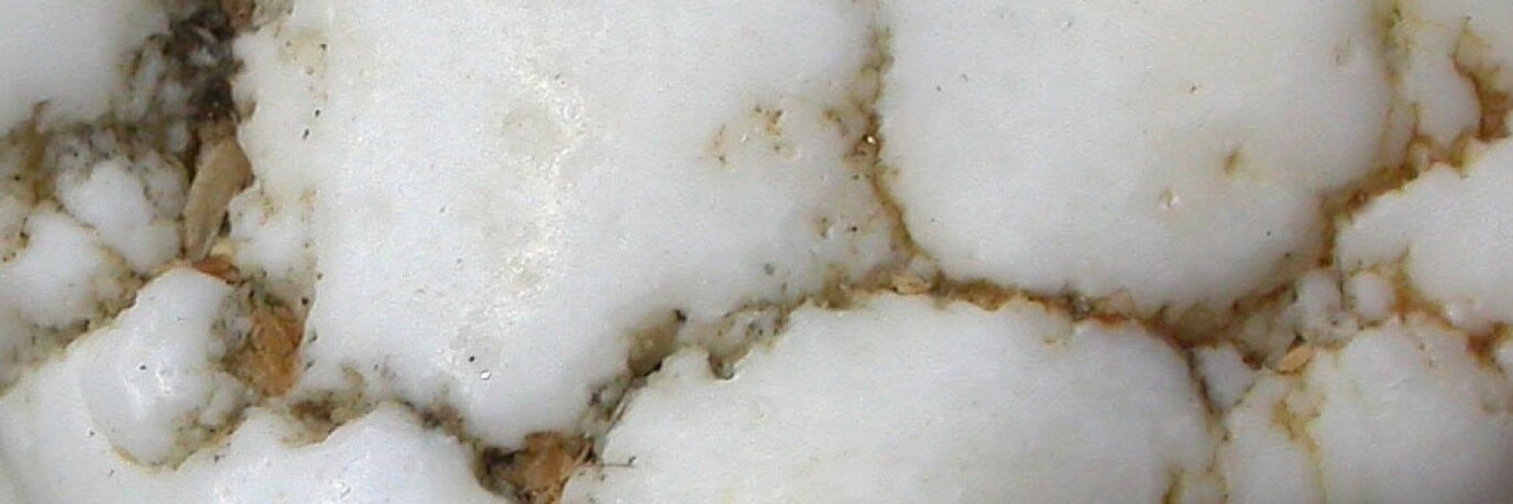 ClytieS's profile banner image