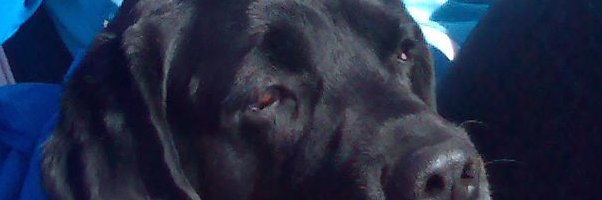 knuthf's profile banner image