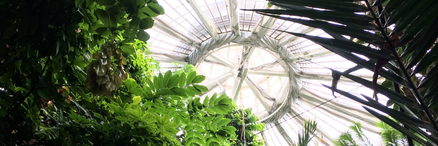 Geoff Kemback banner