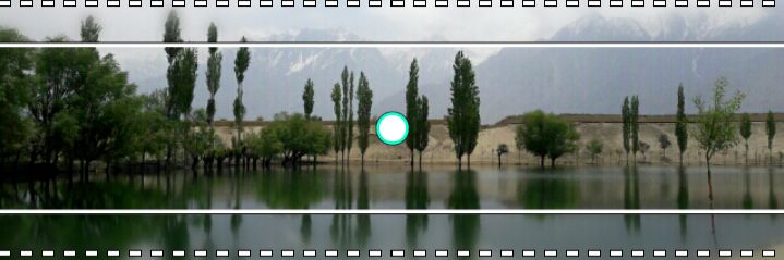 Zee_Mehdi's profile banner image